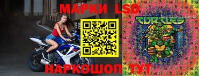 spice Новозыбков