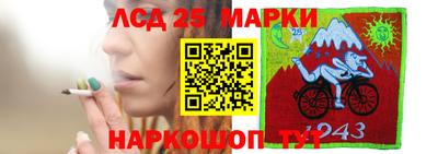 spice Новозыбков
