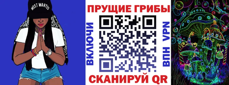 Псилоцибиновые грибы GOLDEN TEACHER  сколько стоит  Георгиевск 