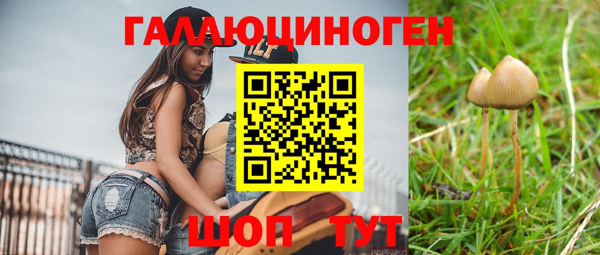 Георгиевск  Псилоцибиновые грибы MAGIC MUSHROOMS  Вход с VPN 